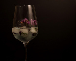 clear glass with ice cubes on black background