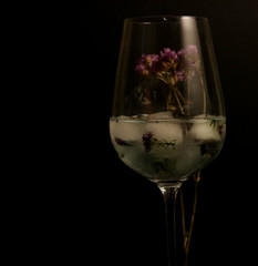 clear glass with ice cubes on black background