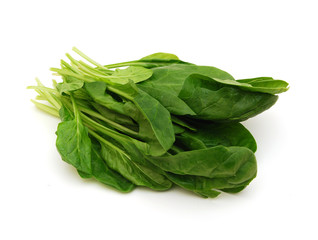 Fresh leaves of spinach
