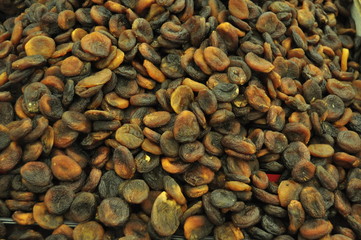 dried apricots