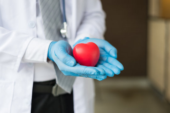 Doctor Wear White Coat And Hand With Blue Glove Holding A Red Heart In The Hospital, Concept Of Health And Disease