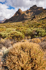 Landscape of the hinterland of Tenerife