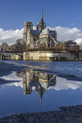 Notre Dame cathedral vertical