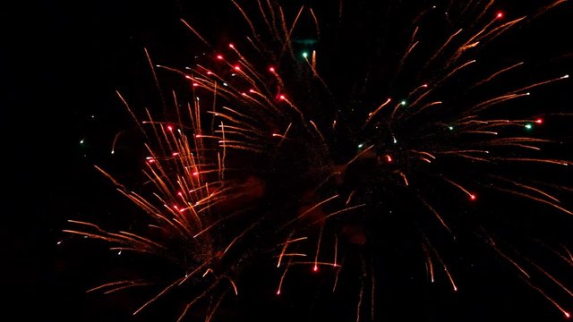 Fireworks exploding in various colors in the dark night sky