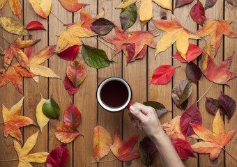 Hands holding cup of coffee on wooden background