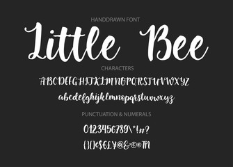 Modern calligraphic font. Brush painted letters.