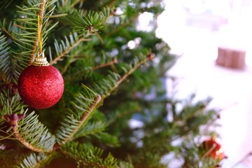 Abstract blurred of Christmas Tree bokeh background. New Year Celebration. for banner  montage product display selective focus.