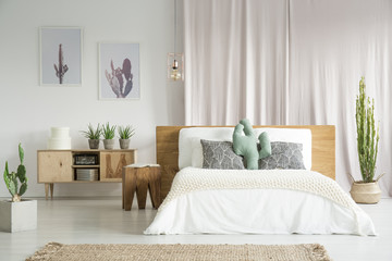 Cactuses in spacious bedroom