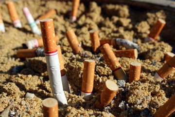 Cigarette Stubs background