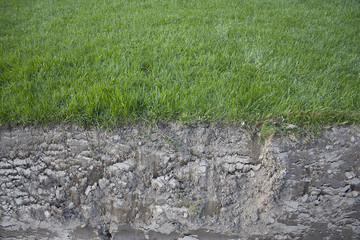 Garten und Erde