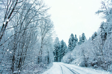 Snow covered road in the winter forest.