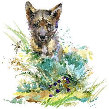wolf cub. forest animals watercolor illustration.