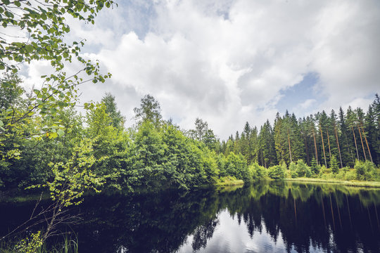 Dark lake in a forest with green trees reflecting