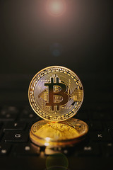Coin bitcoin on the keyboard, the concept of wealth, crypto currency