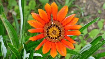 LD Locquemeau P1020572