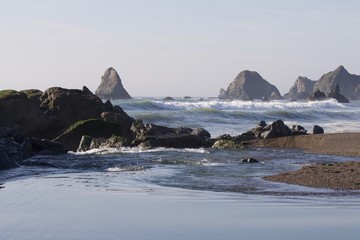 Goat Rock Beach -  northwestern Sonoma County, California,  is the mouth of the Russian River, and the southern end of this crescent shaped expanse is the massive Goat. Seagull, Seal. 