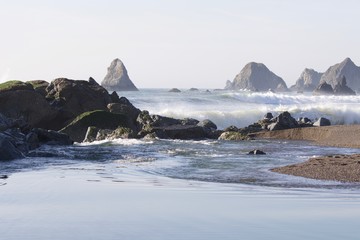 Goat Rock Beach -  northwestern Sonoma County, California,  is the mouth of the Russian River, and the southern end of this crescent shaped expanse is the massive Goat. Seagull, Seal. 