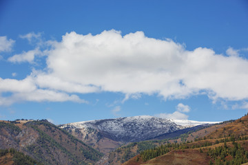 Autumn slope of the Altai Mountains landscape