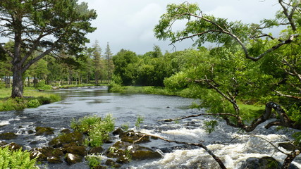 Fototapeta na wymiar Wasser, Fluss, Landschaft