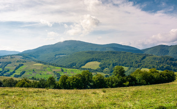 agricultural fields on grassy hills in mountains. beautiful rural landscape of Carpathians