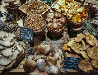Many different edible mushrooms in baskets on food market. Gourmet food. Autumn Mushrooms.