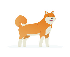 Cute akita inu - modern vector cartoon characters illustration