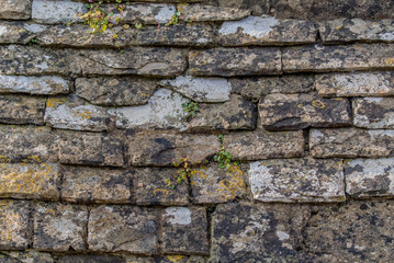 English Mossy Roof Textures