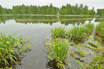 The natural landscape in the spring.