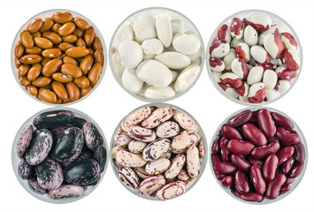 A set of various beans.