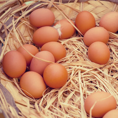 Basket of organic eggs in a rural farmers market