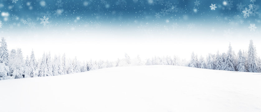 Winter forest and meadow landscape with snow flakes.