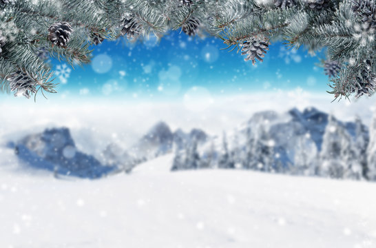 Winter background with fir branches. Free space for text.