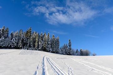 Schneespuren von Ski am Hügel vor dem Wald