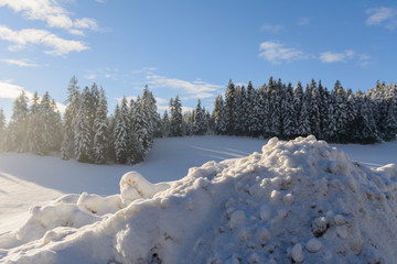 Winterlandschaft mit blauem Himmel 