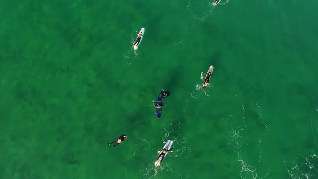 Group of surfers waiting for waves near ocean beach, Aerial view