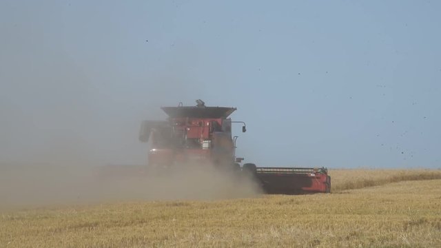 Trigo, cosecha y maquinaria, Argentina.
