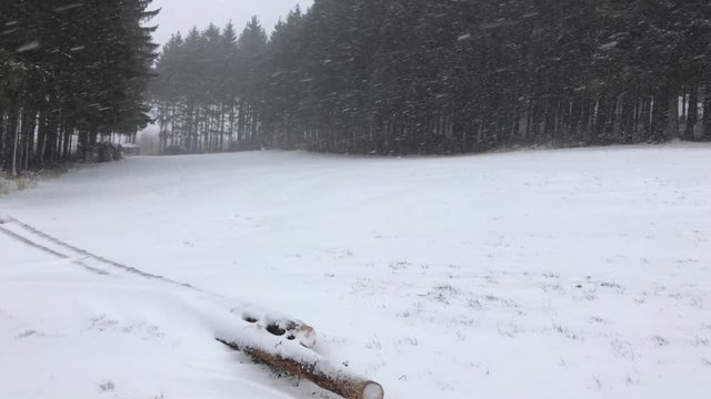 Sturm im Winter die Schneeflocken wirbeln herum - Kamerafahrt nach rechts