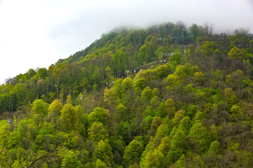 Cable car way from Rosa Khutor to mountain peak, colorful green gondolas of a ropeway travel above a dense forest. High-altitude landscape from Sochi, Russia.