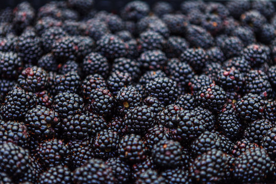 Fresh blackberries at market, closeup