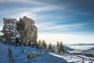 amazing winter landscape with frozen snow-covered trees on mountains in sunny morning 
