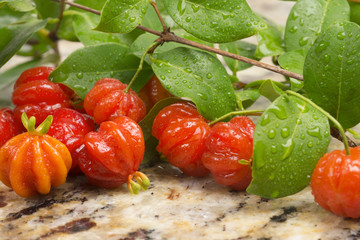 Suriname cherrys in granite background