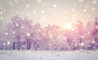Winter natuur landschap. Kerstmis achtergrond. Sneeuwvlokken die bij zonsopgang glanzen. Mooie ijzige winterochtend. Sneeuwval in besneeuwd magisch bos