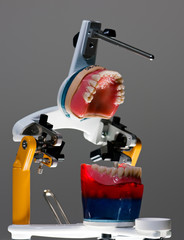 False teeth prosthesis