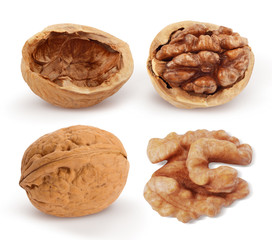 Walnuts isolated on white background. Collection