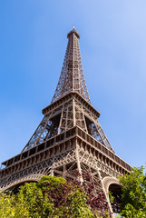 View of the Eiffel tower on a bright sunny day. Paris, France