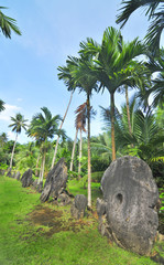 Rai, or stone money on the island of Yap, Micronesia   © robnaw