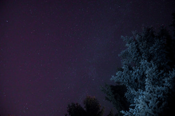 Fototapeta na wymiar Starry night sky