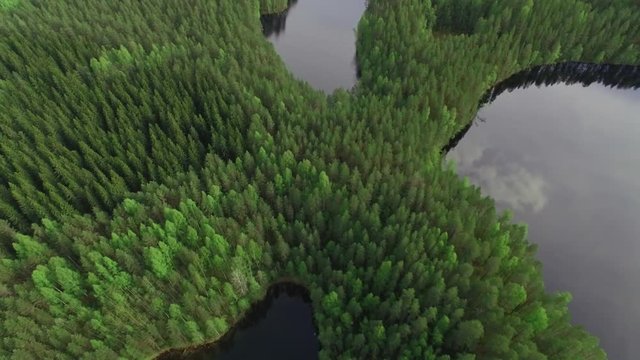Ridge forest between several lakes in Finnish landscape. Aerial shot.