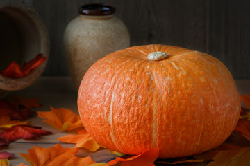 Orange pumpkin close-up on a table, surrounded by autumn leaves, beside pottery