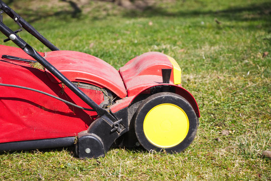 verticutter in the garden, gardener verticutting the lawn at spring, electric lawn raker